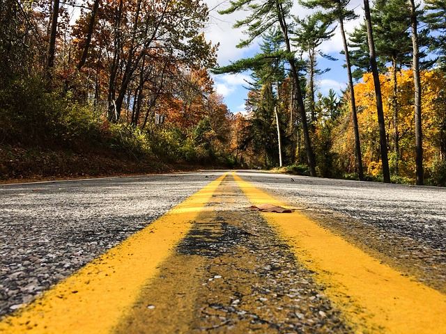 a road with yellow lines and trees