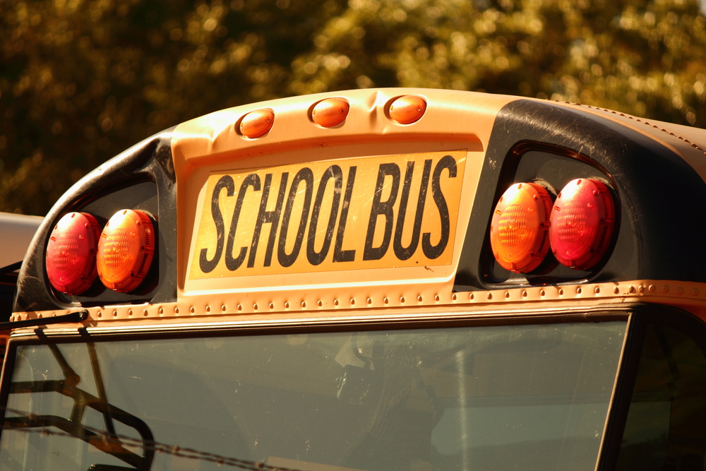 school bus signage and lights, cropped